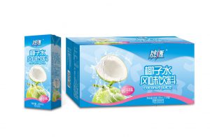 戰燃椰子水風味飲料